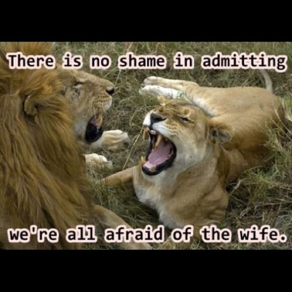 ISO Disney 50th Celebration McDonalds Toys For TRADE ONLY PFFS Girlsquad - Picture 13 of 15